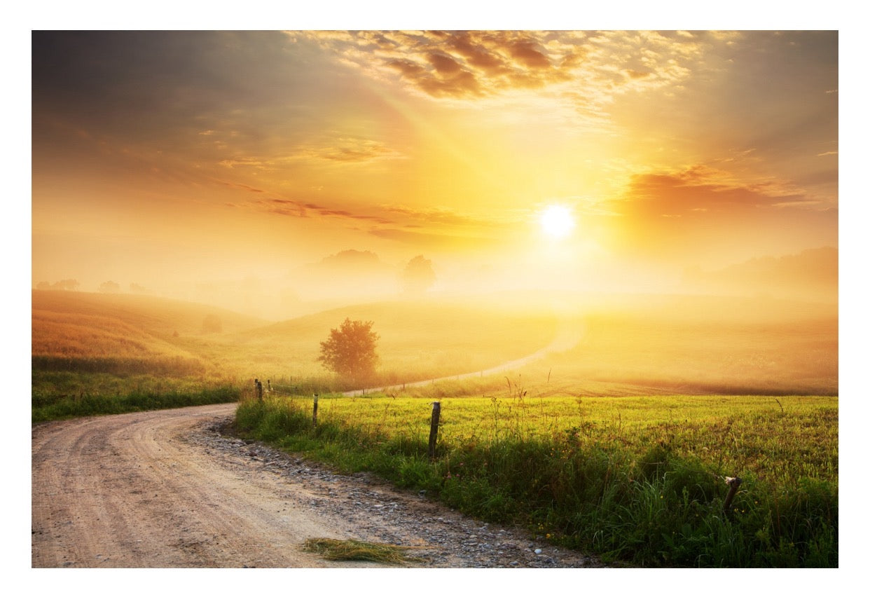 Summer Sunrise Candle